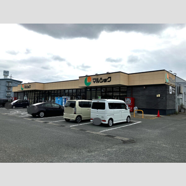 現地周辺 (マルショク三苫店(290m))