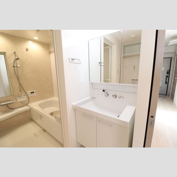 洗面所 (110　洗髪洗面化粧台)