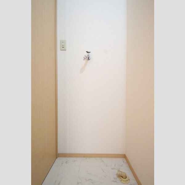 その他 (室内洗濯機置場)