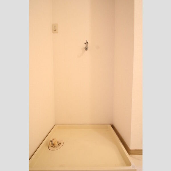 その他 (室内洗濯機置場)