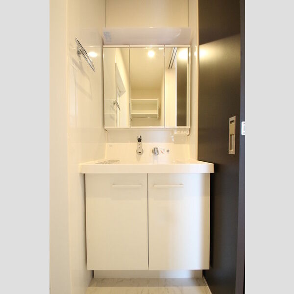 洗面所 (洗髪洗面化粧台)
