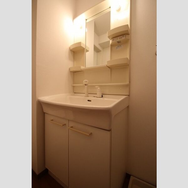 洗面所 (洗髪洗面化粧台)