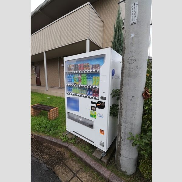 現地周辺 (自動販売機)