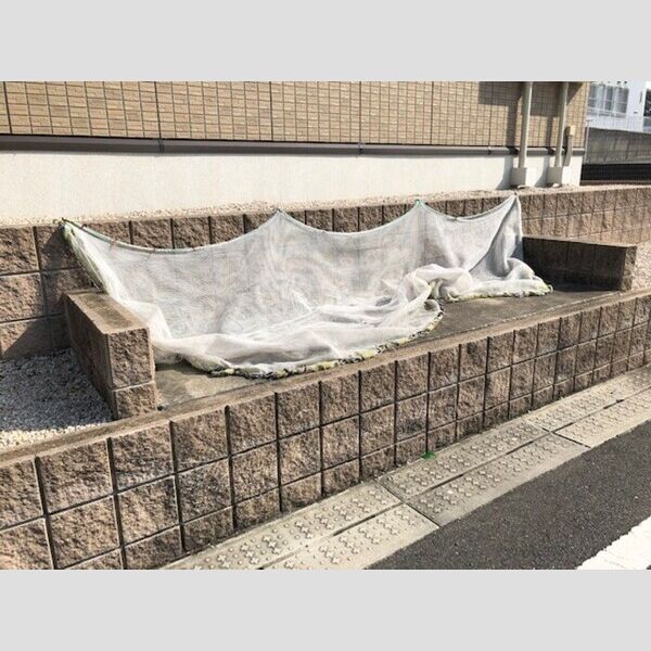 現地周辺 (ゴミ置き場)