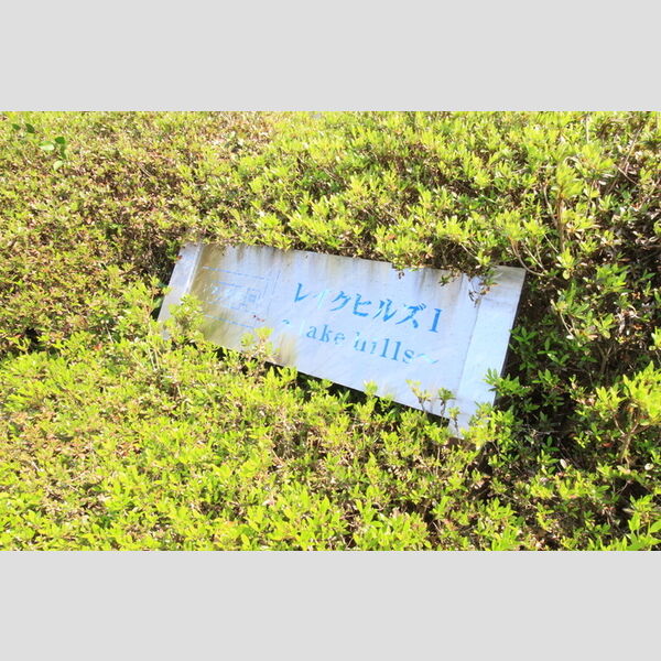 現地周辺 (アパート銘板)