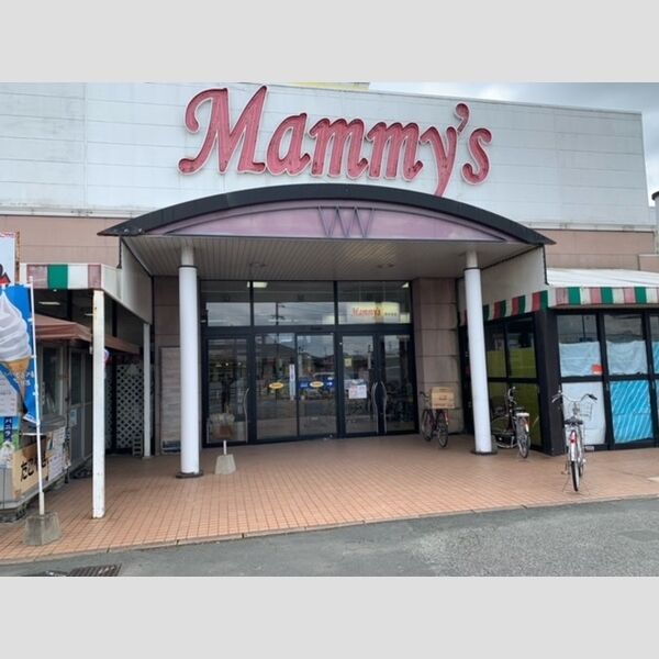現地周辺 (マミーズ西牟田店まで196m)