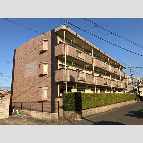 建物外観 (外観)
