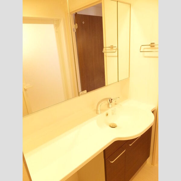 洗面所 (洗髪洗面化粧台)