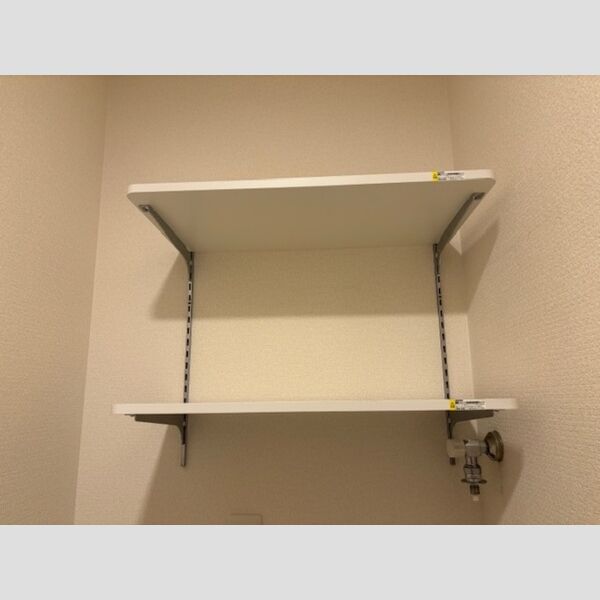 その他 (202号　洗面室棚)