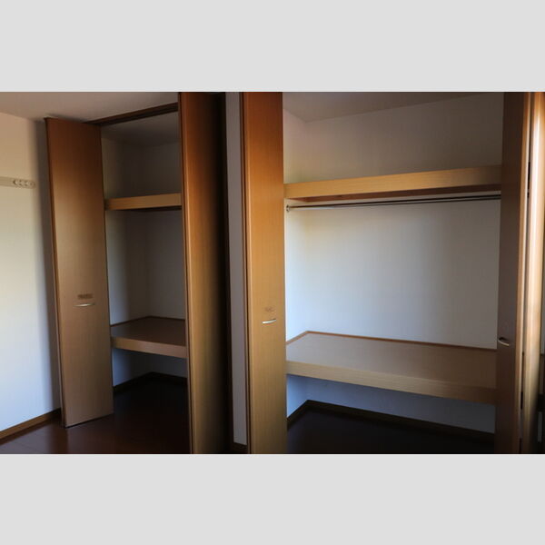 収納 (203　クローゼット)