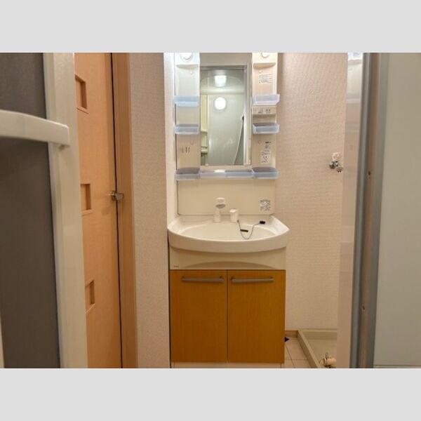 洗面所 (101　洗髪洗面化粧台)