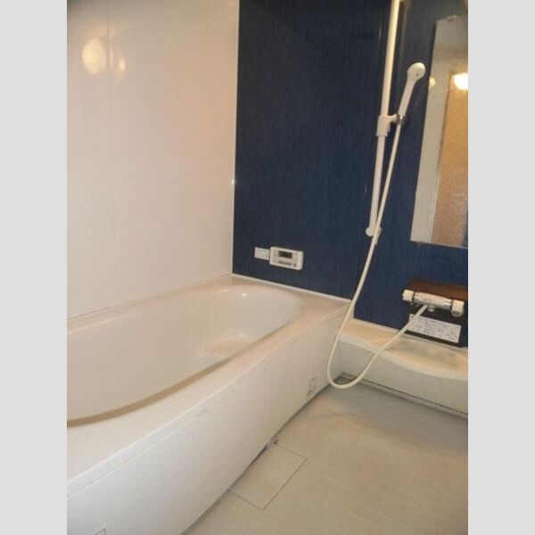 バス (206　一坪風呂)