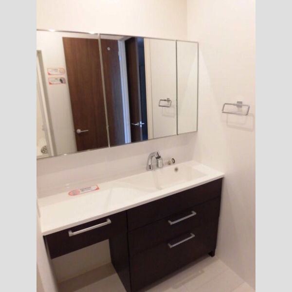 洗面所 (洗髪洗面化粧台)