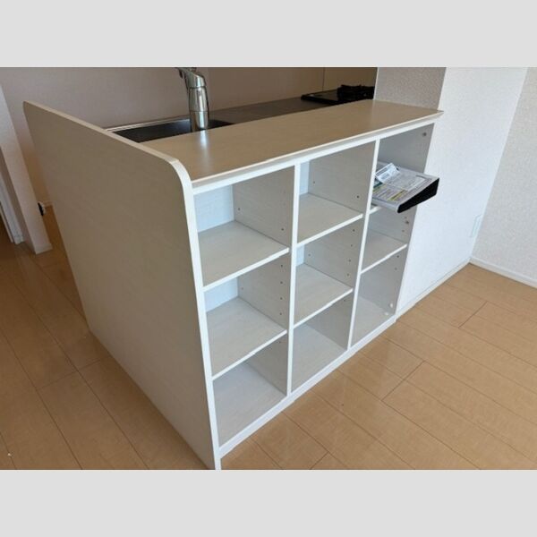 その他 (203号　対面カウンター収納)