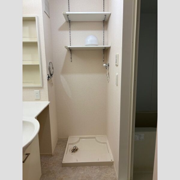 その他 (203号　室内洗濯機置き場)