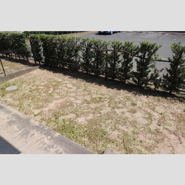 その他 (102　専用庭)