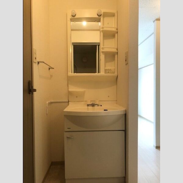 洗面所 (洗面台　202)