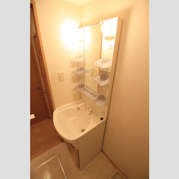 洗面所 (202号室　洗髪洗面化粧台)