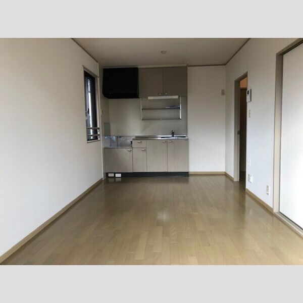 居室・リビング (206ダイニングキッチン)