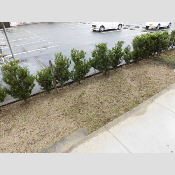 その他 (専用庭)