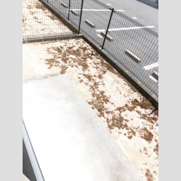 その他 (専用庭)