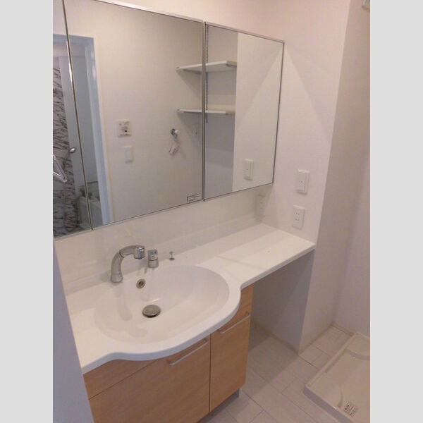 洗面所 (洗髪洗面化粧台)