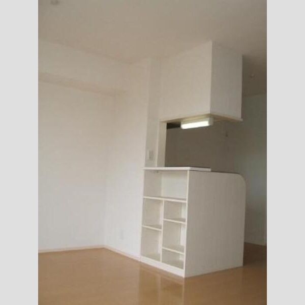 収納 (カウンター収納)