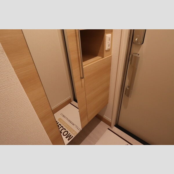 その他 (205　シューズボックス(トールタイプ))