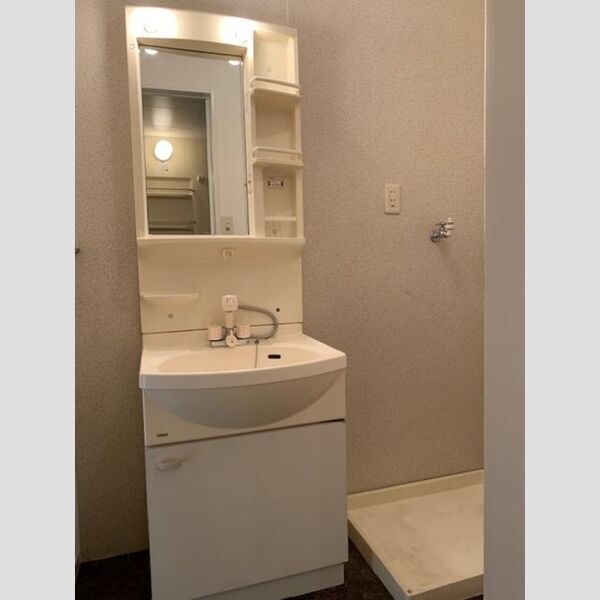 洗面所 (洗髪洗面化粧台)
