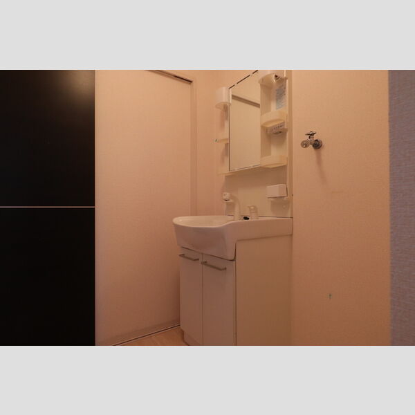 洗面所 (202　洗髪洗面化粧台)