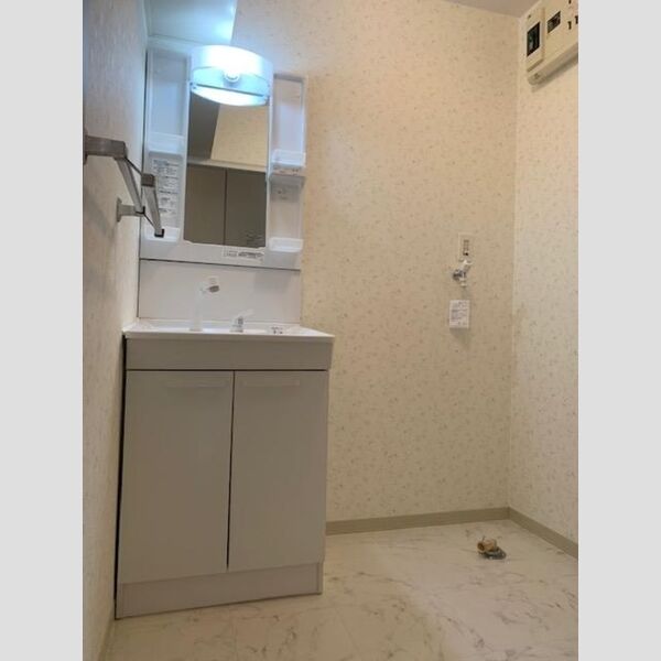 洗面所 (洗髪洗面化粧台)