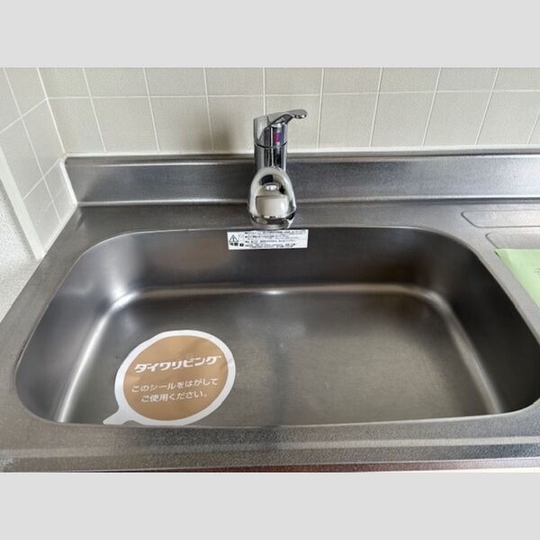 その他 (201号　キッチン流し台)