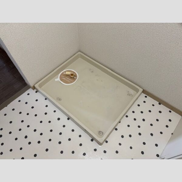 その他 (201号　室内洗濯機置き場)