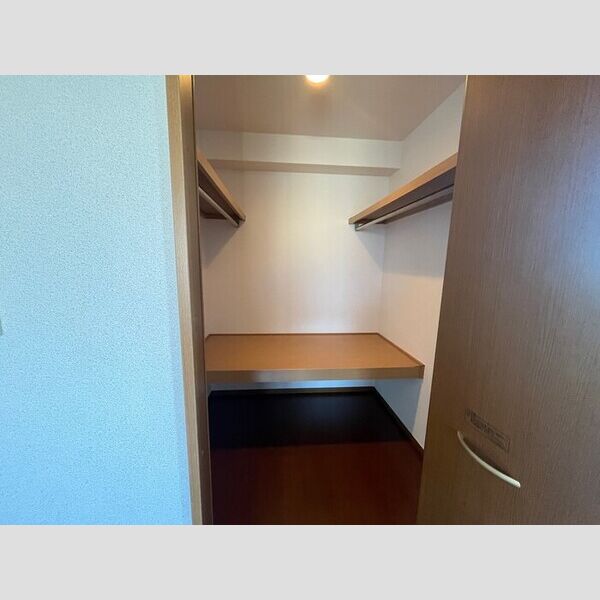 収納 (ウォークインクローゼット)