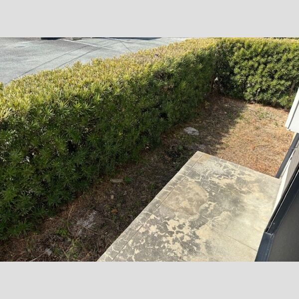 その他 (専用庭)