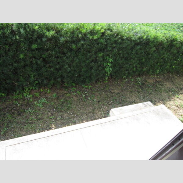 その他 (専用庭)