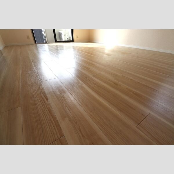 その他 (C210　一部、フロアタイルに張り替えています。)