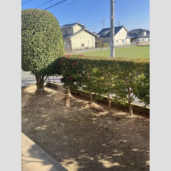 その他 (101専用庭)