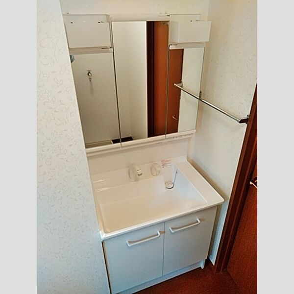 洗面所 (洗髪洗面化粧台)