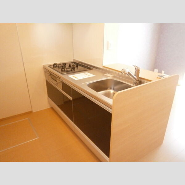 キッチン (3口コンロ付き)