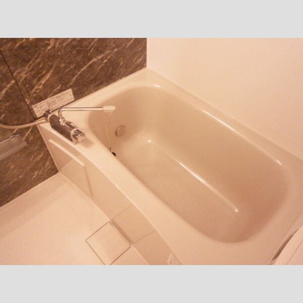 バス (追い焚き機能付き)