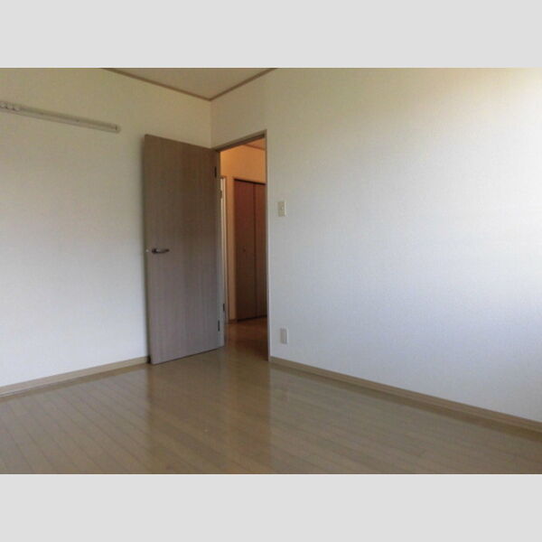 居室・リビング (B203　洋室)