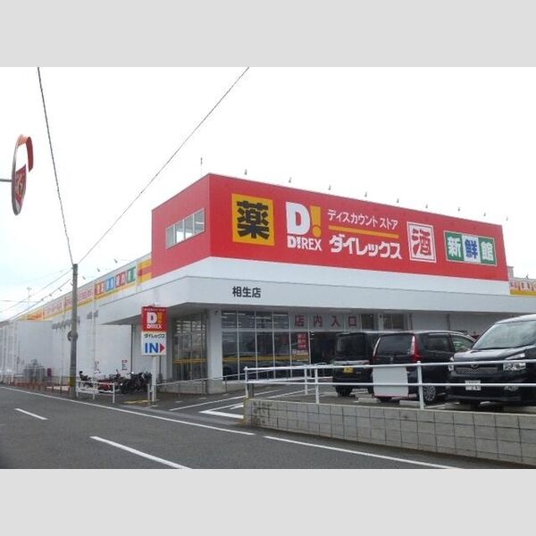 現地周辺 (ダイレックス相生店(ディスカウントストア)390m)
