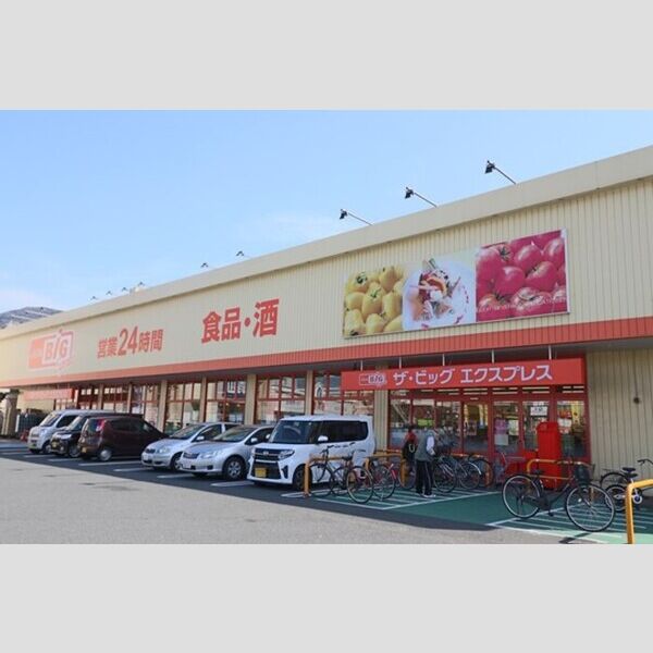 現地周辺 (スーパー　ザ・ビック　1360m)