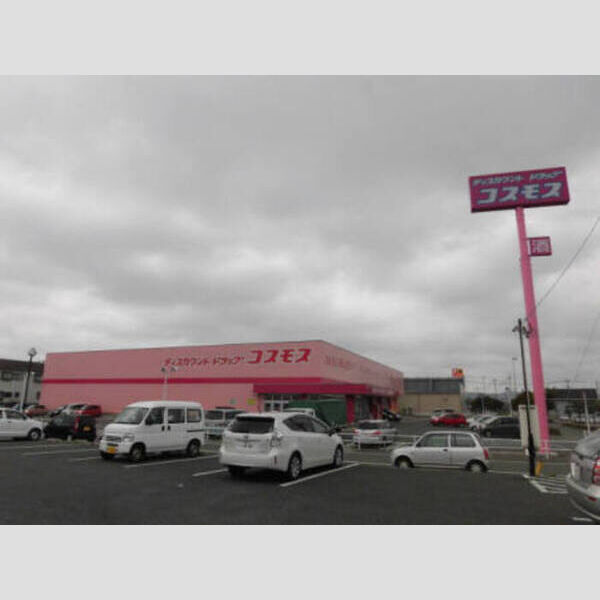 現地周辺 (コスモス)
