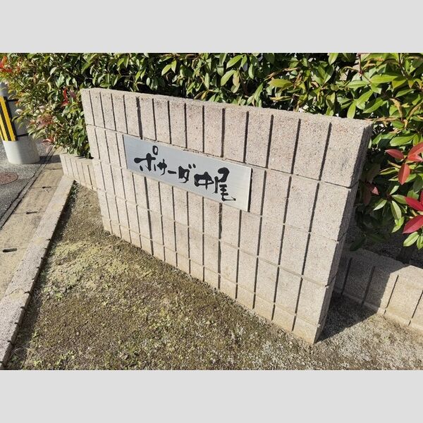 エントランス (名盤)