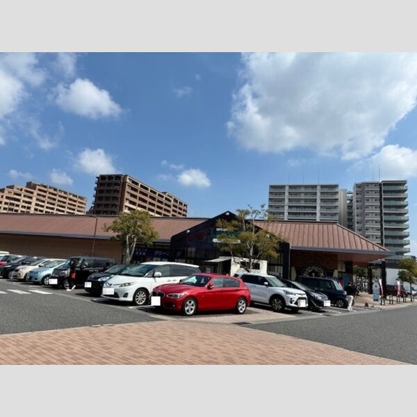 現地周辺 (スピナマート高見店(1076m))