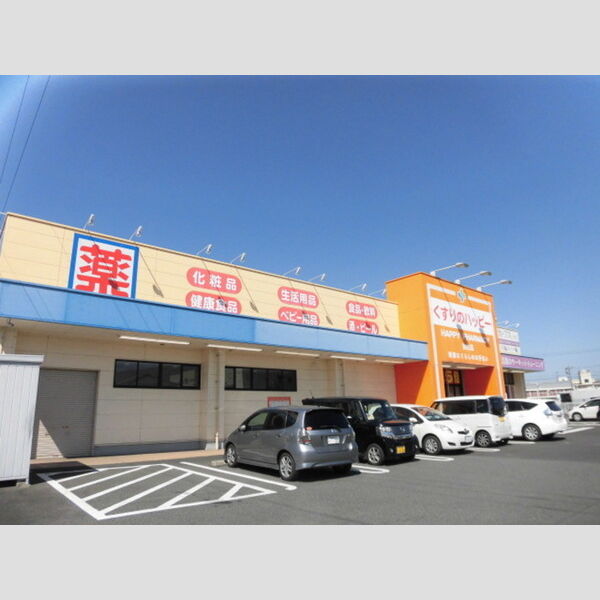 現地周辺 (ドラッグ新生堂　928m)