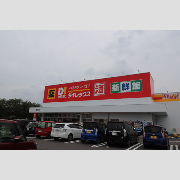 現地周辺 (ダイレックス相生店　795m)