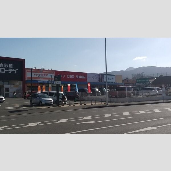 現地周辺 (ドラッグ新星堂横代店 950m)